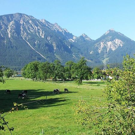 Gutshof Zum Schluxen Daire Pinswang Dış mekan fotoğraf