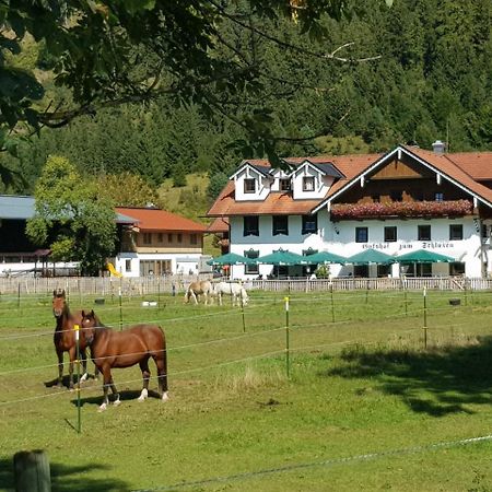 Gutshof Zum Schluxen Daire Pinswang Dış mekan fotoğraf