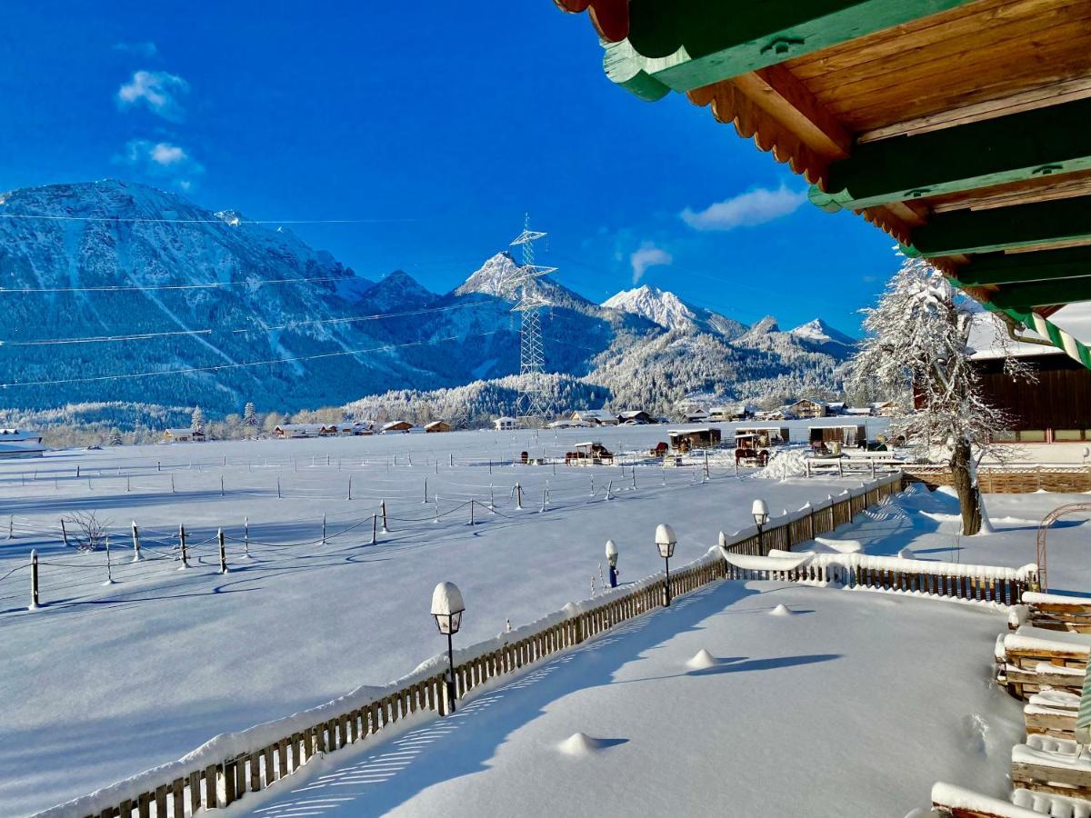 Gutshof Zum Schluxen Daire Pinswang Dış mekan fotoğraf