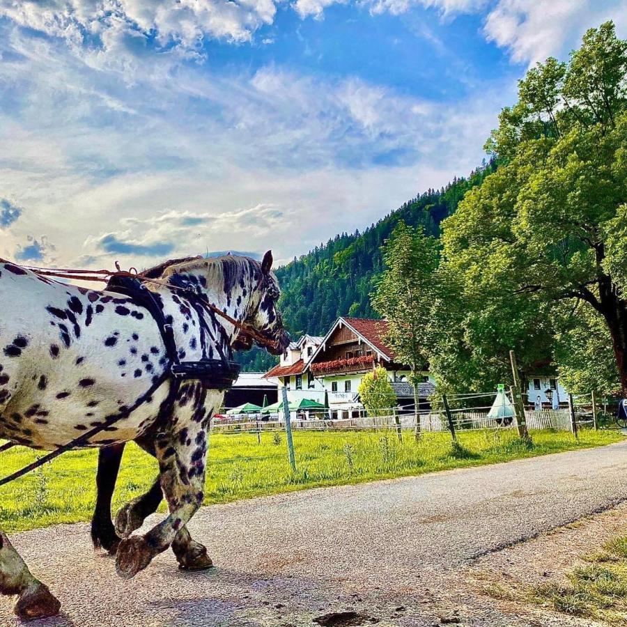 Gutshof Zum Schluxen Daire Pinswang Dış mekan fotoğraf