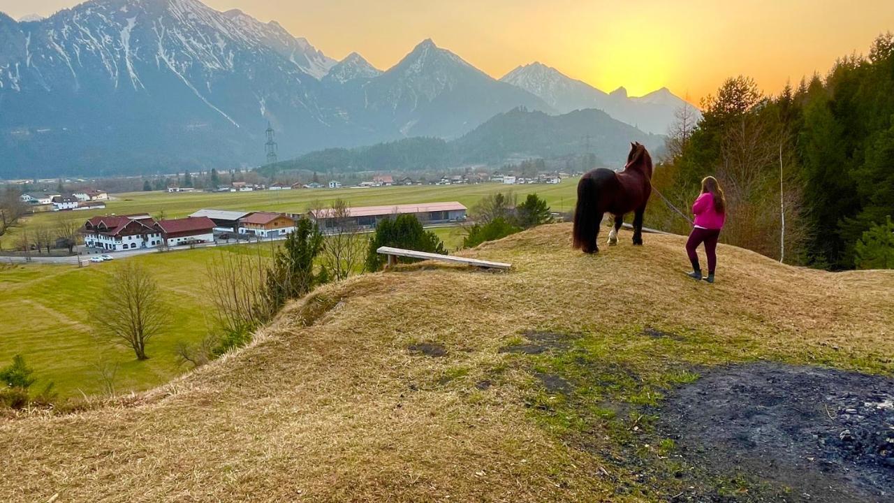 Gutshof Zum Schluxen Daire Pinswang Dış mekan fotoğraf