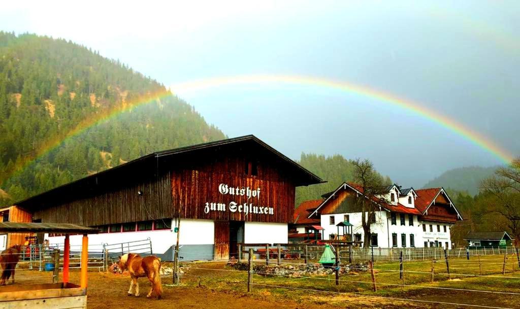 Gutshof Zum Schluxen Daire Pinswang Dış mekan fotoğraf