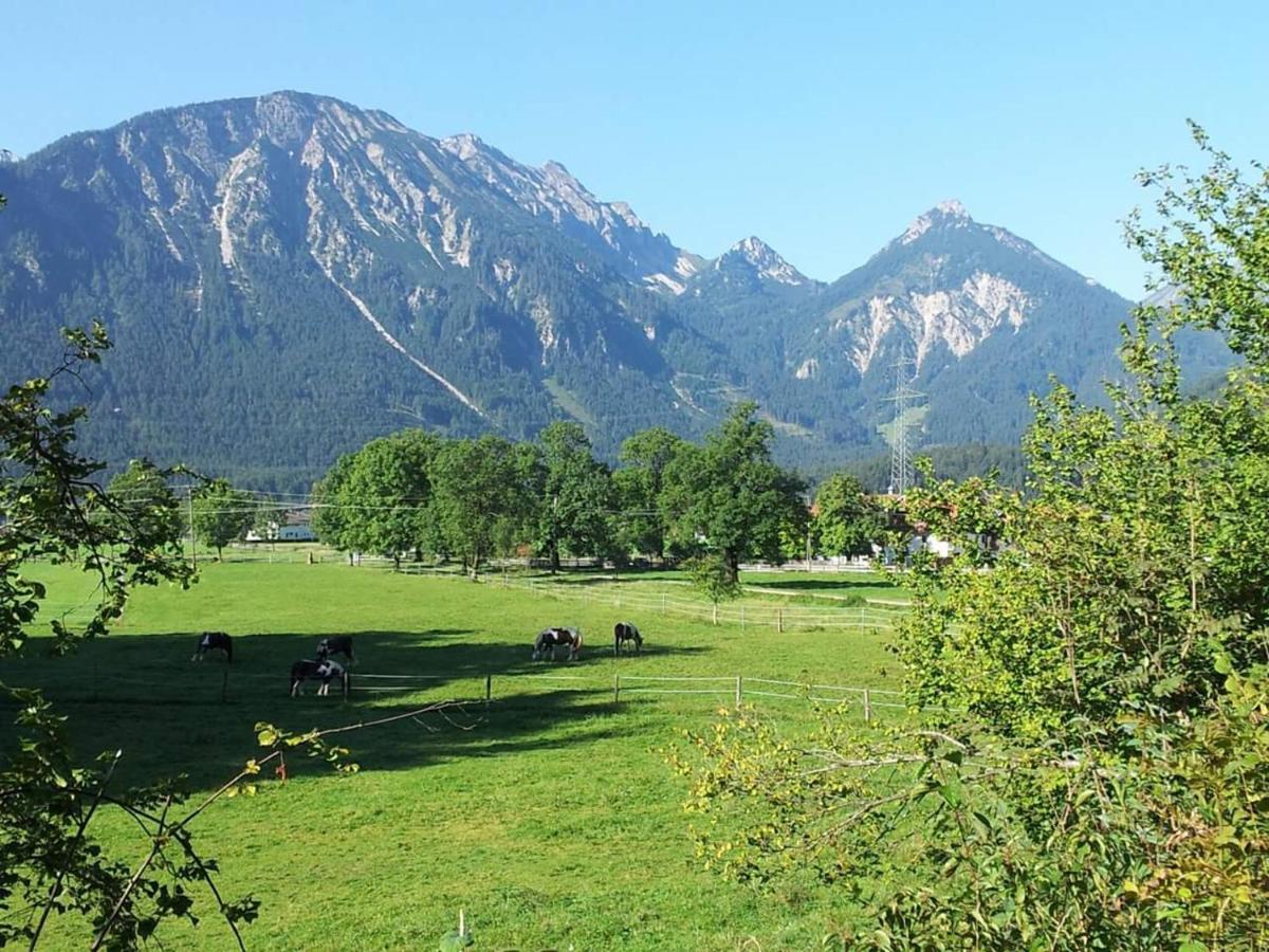 Gutshof Zum Schluxen Daire Pinswang Dış mekan fotoğraf