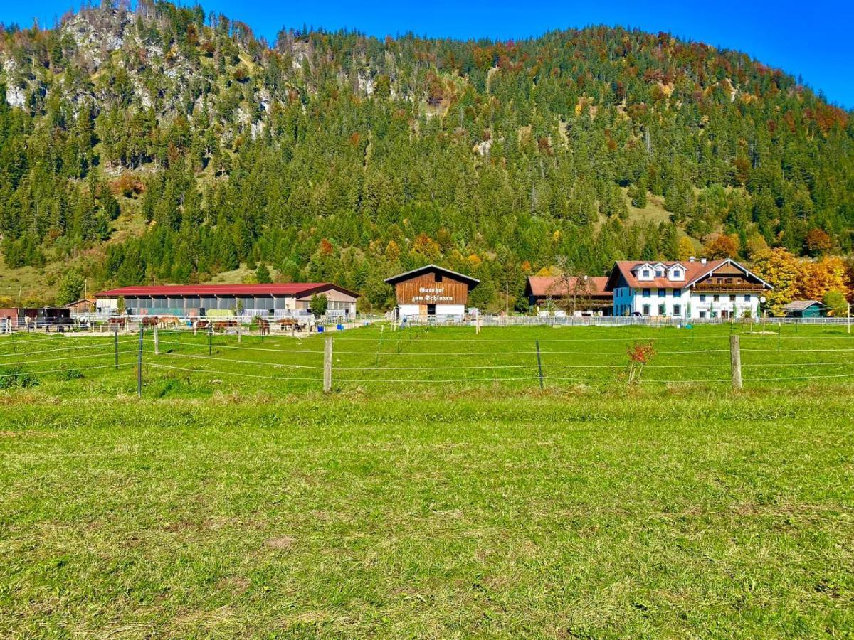 Gutshof Zum Schluxen Daire Pinswang Dış mekan fotoğraf