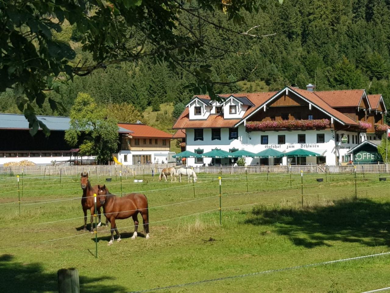 Gutshof Zum Schluxen Daire Pinswang Dış mekan fotoğraf