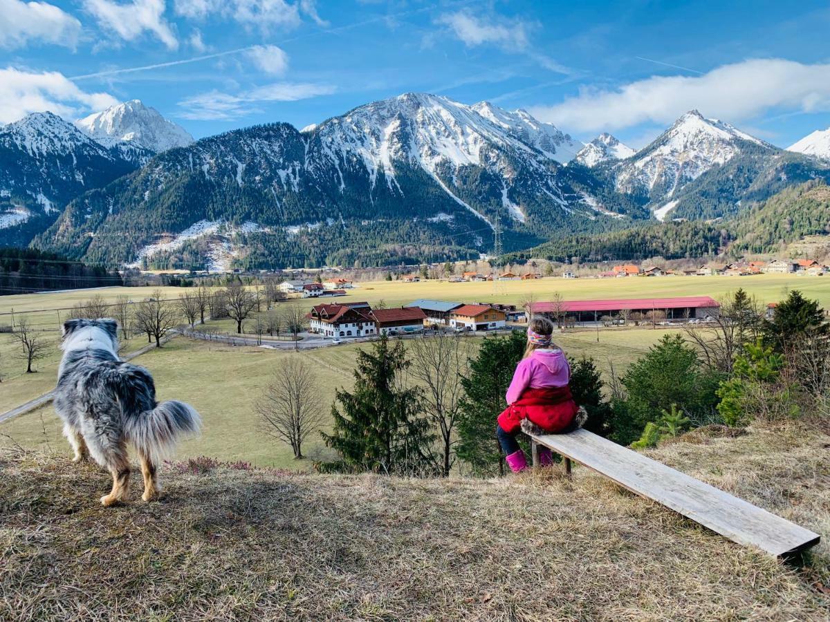 Gutshof Zum Schluxen Daire Pinswang Dış mekan fotoğraf