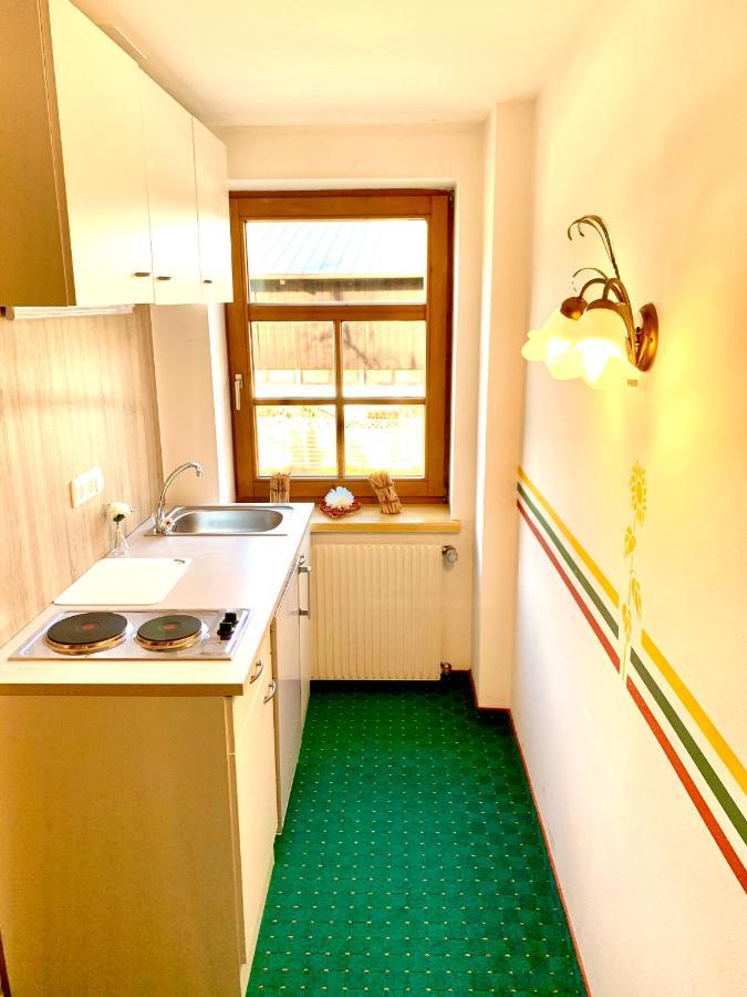 Gutshof Zum Schluxen Daire Pinswang Dış mekan fotoğraf